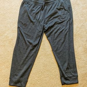 Champion C9 Dark Gray Sweatpants, 3X